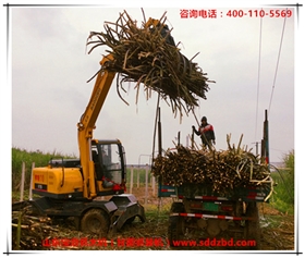 山東寶鼎抓木機（甘蔗抓裝機）產(chǎn)品