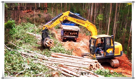 寶鼎挖掘機(jī)抓木機(jī)產(chǎn)品