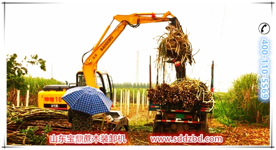寶鼎蔗木裝卸機(jī)產(chǎn)品