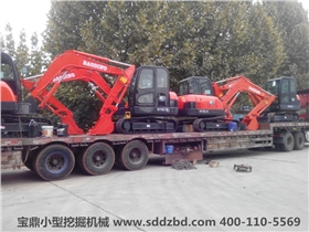 寶鼎小型挖掘機(jī)械