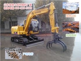 山東寶鼎小型抓木機生產(chǎn)廠家