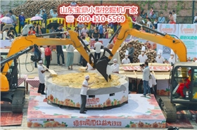 山東寶鼎小型挖掘機(jī)生產(chǎn)廠家