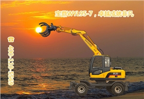 山東寶鼎小型挖掘機(jī)、輪式抓木機(jī)生產(chǎn)廠家