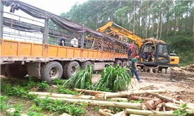 輪式抓木機(jī)裝車