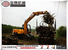 寶鼎抓木機(jī)廣西抓裝甘蔗作業(yè)圖片