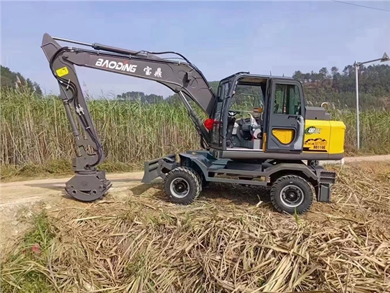 寶鼎抓甘蔗機(jī).png