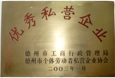 【優(yōu)秀私營企業(yè)】-寶鼎榮譽(yù)