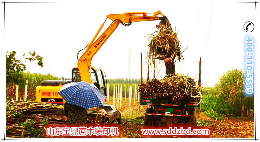 寶鼎蔗木裝卸機產(chǎn)品