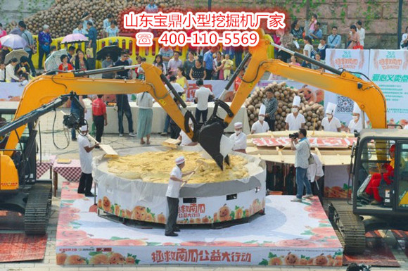 山東寶鼎小型挖掘機生產(chǎn)廠家