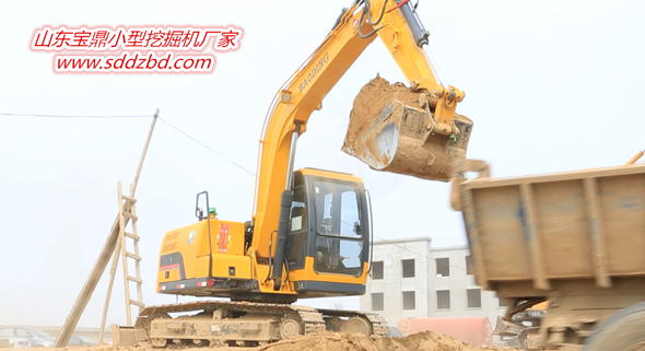 寶鼎小型挖掘機(jī).png