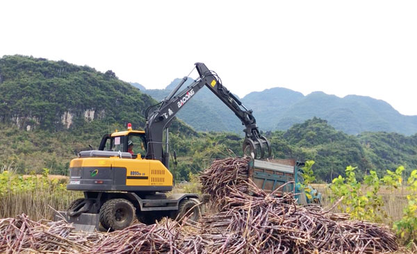 廣西寶鼎抓木機(jī)抓甘蔗.jpg
