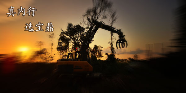 寶鼎抓木機(jī)品牌.jpg