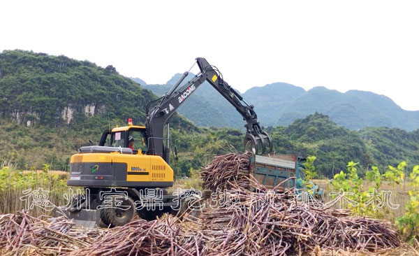 輪式抓木機(jī)抓甘蔗裝車.jpg