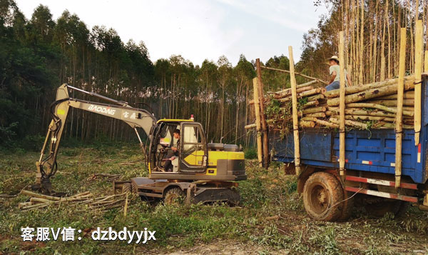 寶鼎95抓木機(jī)廣東作業(yè).jpg