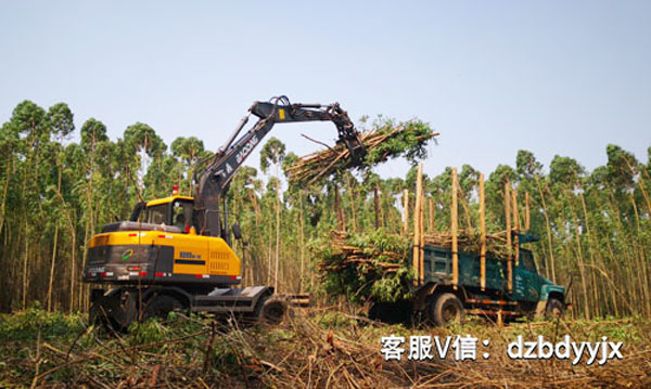 寶鼎95抓木機(jī)桉樹裝車.jpg