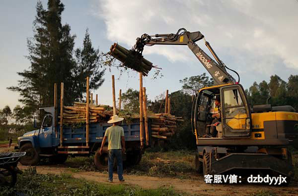 寶鼎抓木機廣西市場作業(yè).jpg