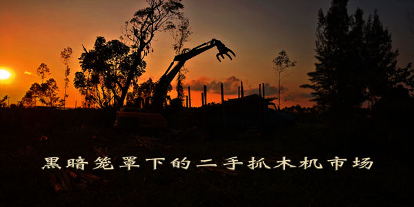 二手抓木機(jī)市場(chǎng).jpg