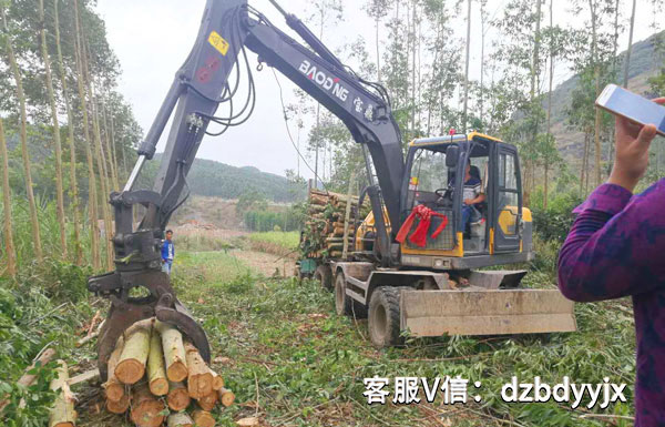 寶鼎95抓木機(jī)桉樹裝車作業(yè).jpg