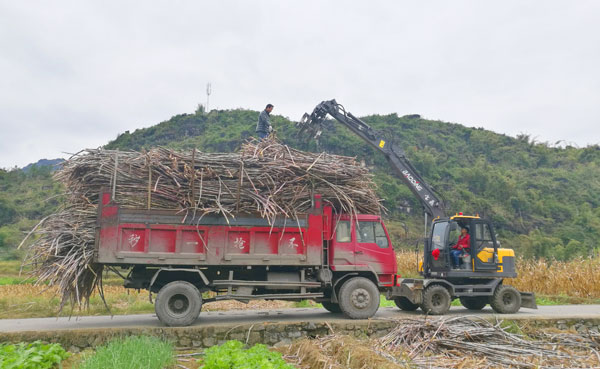 寶鼎抓木機(jī)抓甘蔗機(jī).jpg