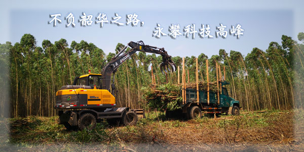 寶鼎95輪式抓木機(jī)廠家.jpg