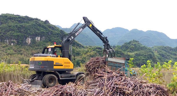 寶鼎抓木機(jī)廣西甘蔗裝車.jpg