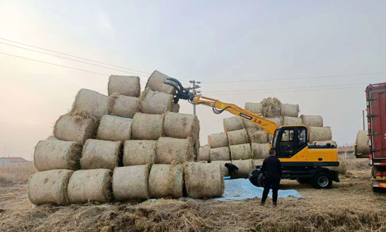 寶鼎輪式挖掘機(jī)抓草機(jī).jpg