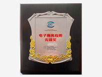 【電商應(yīng)用先鋒獎】-寶鼎榮譽(yù)