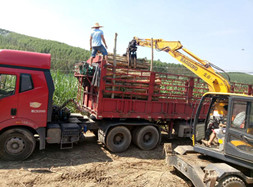 寶鼎挖掘機(jī)抓木機(jī)廠家BD95W-9車型開創(chuàng)裝卸領(lǐng)域機(jī)械化時(shí)代新紀(jì)元