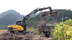 國(guó)內(nèi)抓木機(jī)市場(chǎng)受歡迎抓木機(jī)車型分析