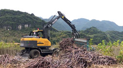 桉樹(shù)種植受阻，廣西廣東輪式抓木機(jī)車主何去何從？
