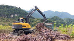 抓木機(jī)掙錢并非難事輪式車型遍地生金