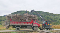 廣西，寶鼎抓木機(jī)甘蔗抓機(jī)與你一起奮斗